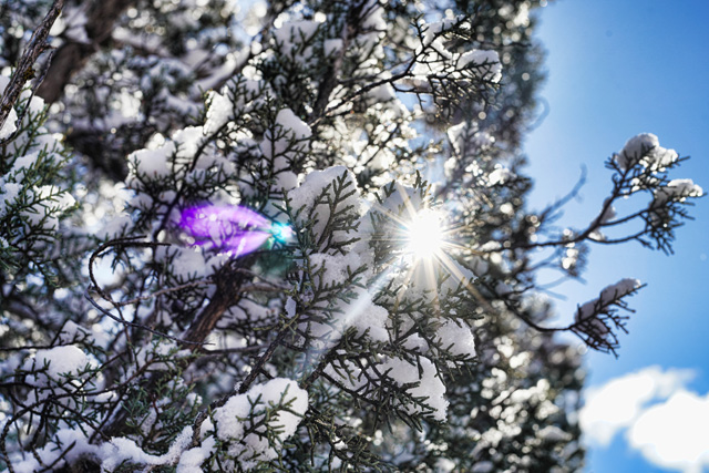 <p>Newsletter Vol.364</p>CS60 INTERVIEW  夢から生まれたCS60（前編）